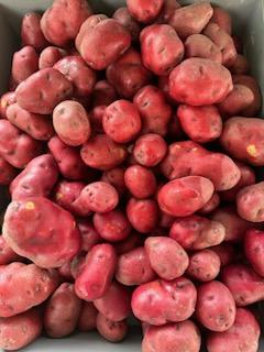 Red Potato Display